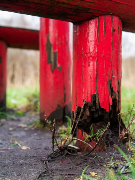 Cost of Rotten Column Replacement in Lawrence